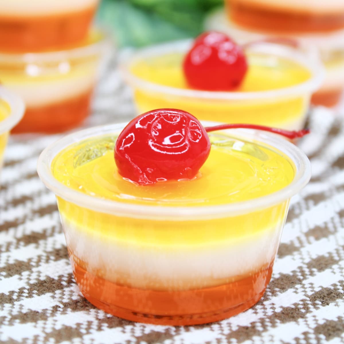 gleitgel pina colada Pina Colada Jello Shots