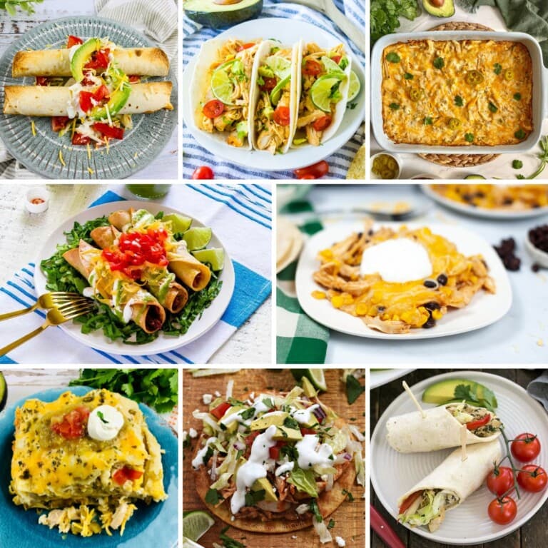 Collage of varieties of Mexican recipes with chicken.