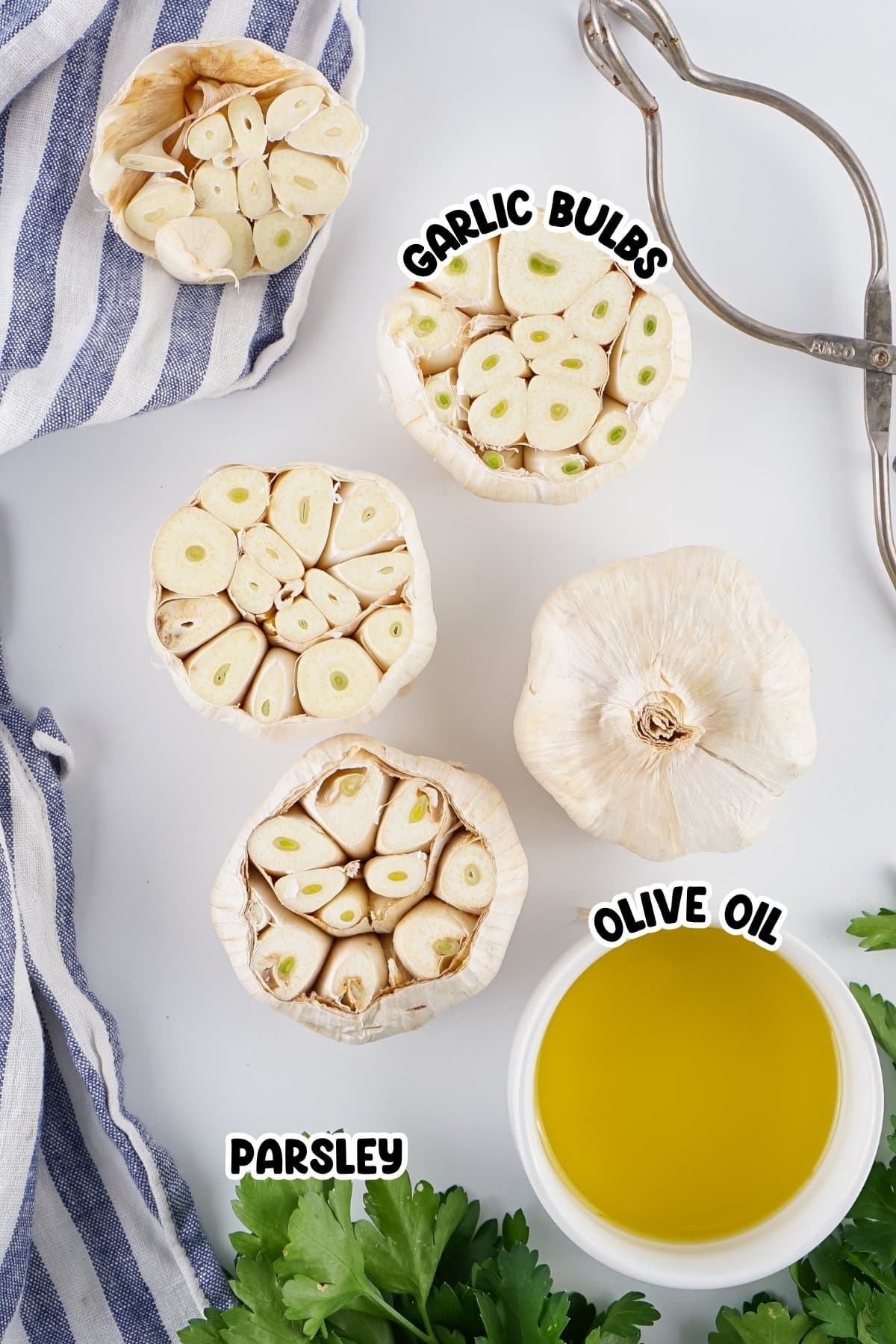 Garlic bulbs, olive oil, and parsley on a white surface with a garlic press.