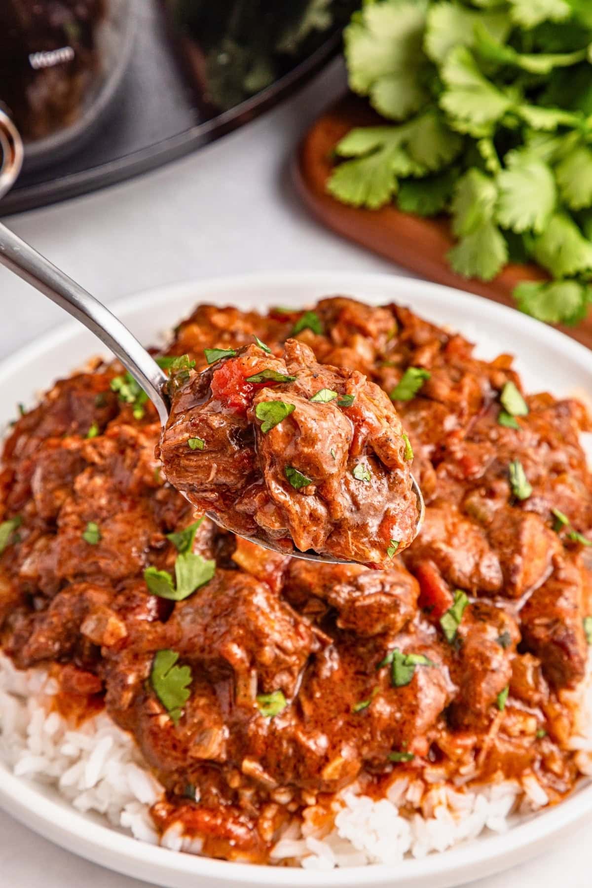 A spoonful of beef stew with rice, garnished with chopped cilantro.