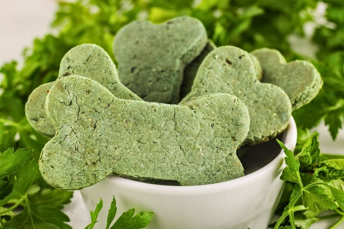 Green bone-shaped dog treats in a white bowl surrounded by fresh parsley.