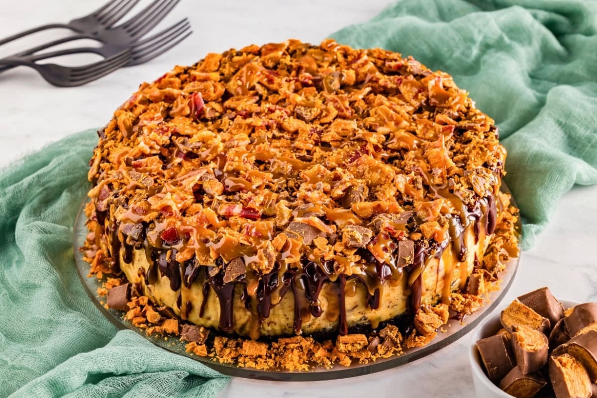 Chocolate peanut butter cheesecake topped with candy and caramel drizzle.