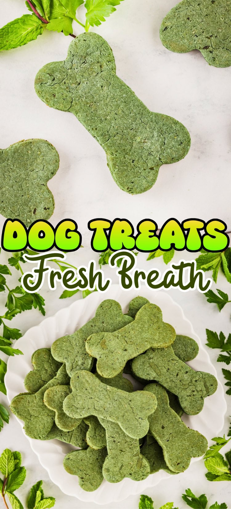 Green bone-shaped dog treats on a white plate, surrounded by fresh mint leaves.