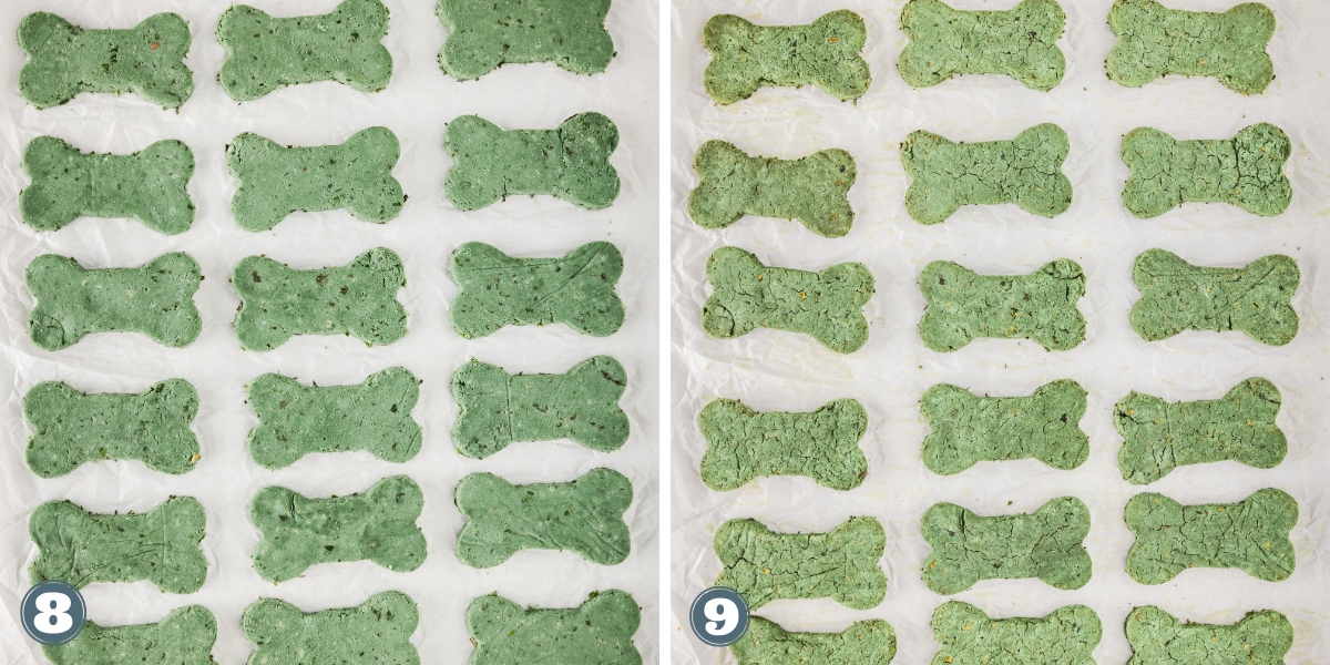Two trays of green bone-shaped treats, labeled 8 and 9, on parchment paper.