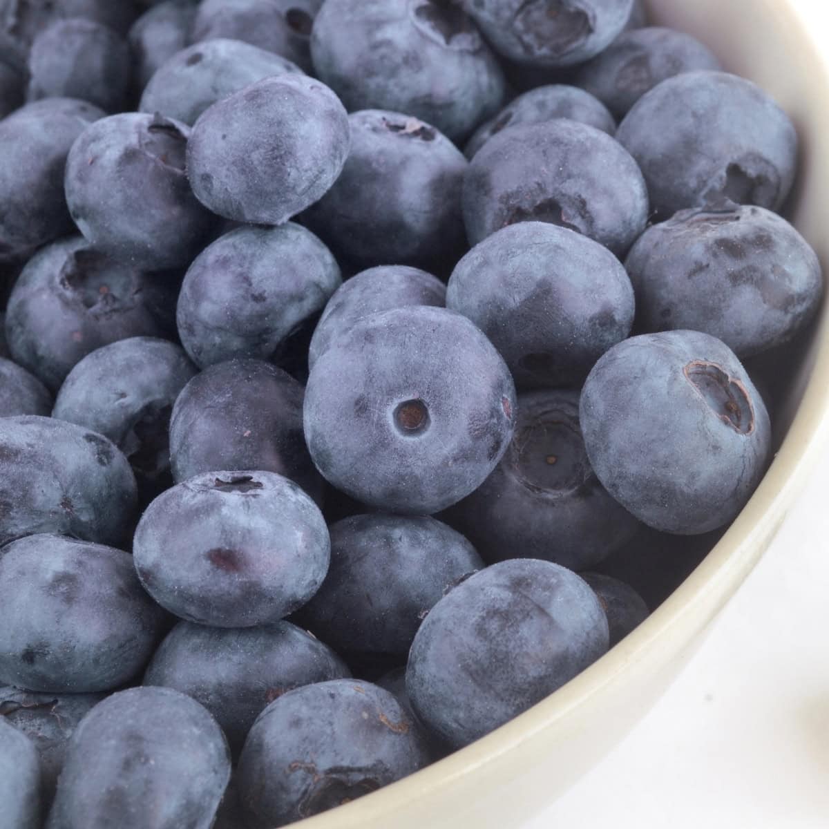 A bowl filled with fresh, ripe blueberries.