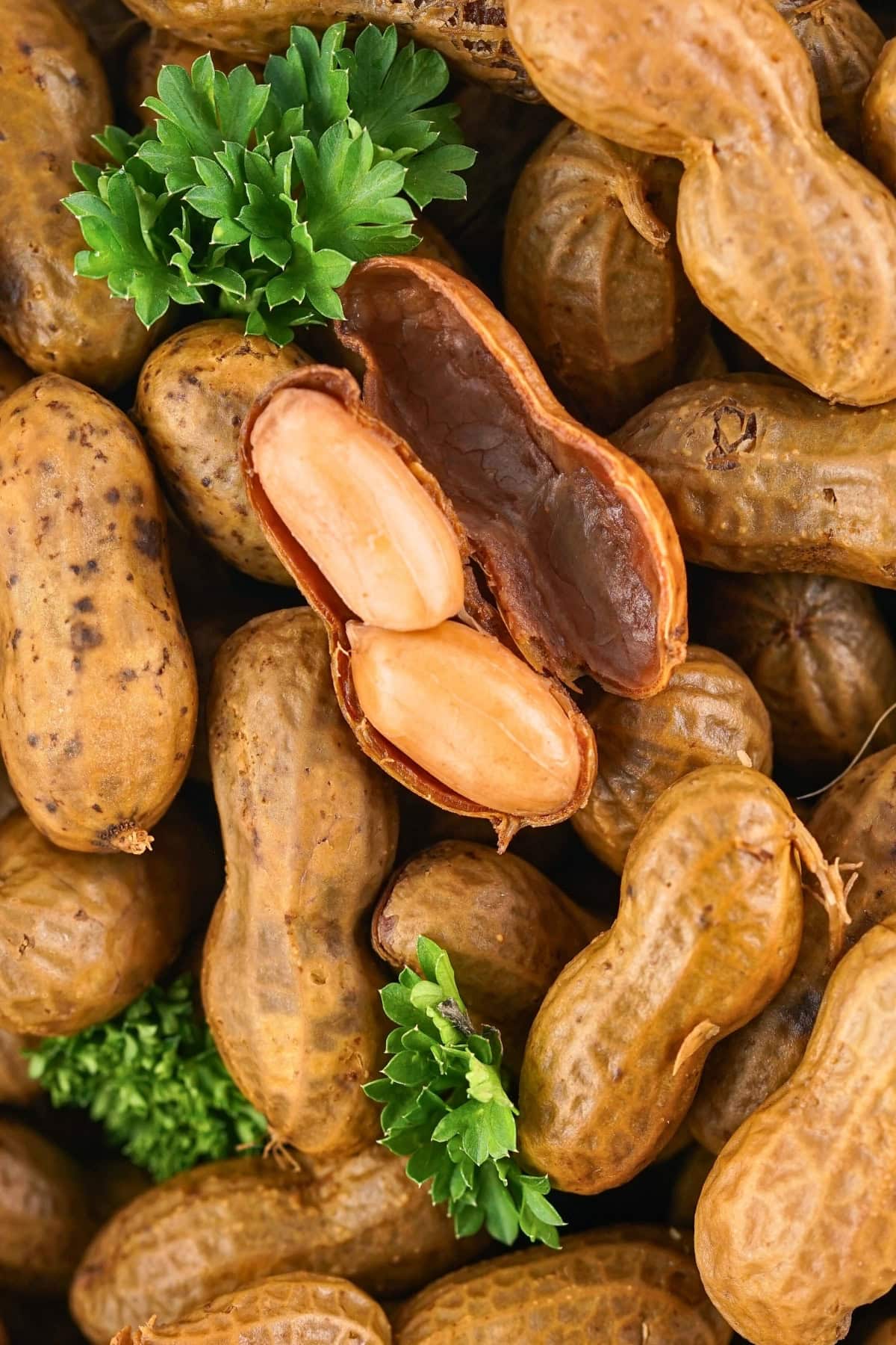 Boiled peanuts in shells with parsley garnish, one shell cracked open showing nuts.