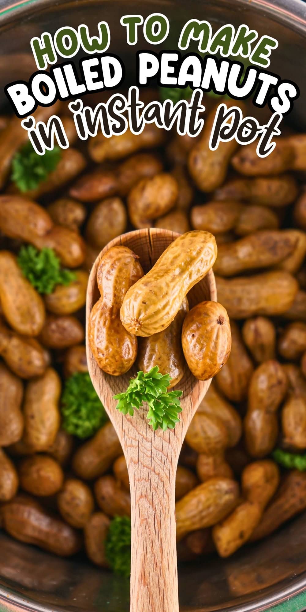 A wooden spoon holds boiled peanuts above a pot full of boiled peanuts.