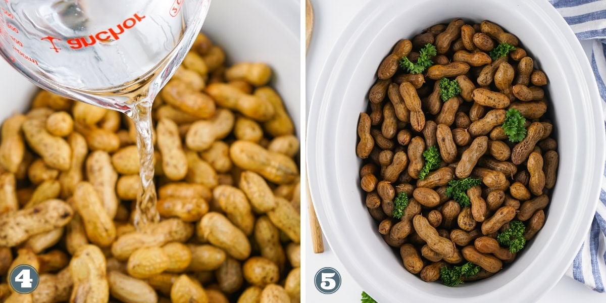 Water being poured onto raw peanuts, then cooked peanuts with parsley in a slow cooker.