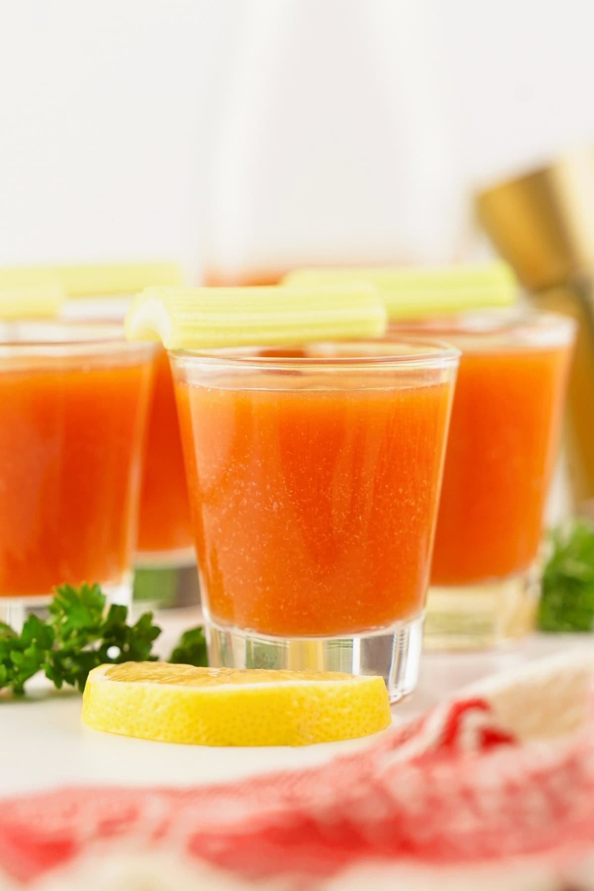 Tomato juice in a glass, garnished with celery and a lemon slice.