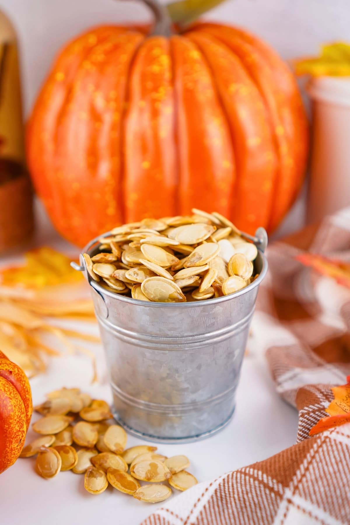 A metal bucket filled with pumpkin seeds sits in front of a large pumpkin.
