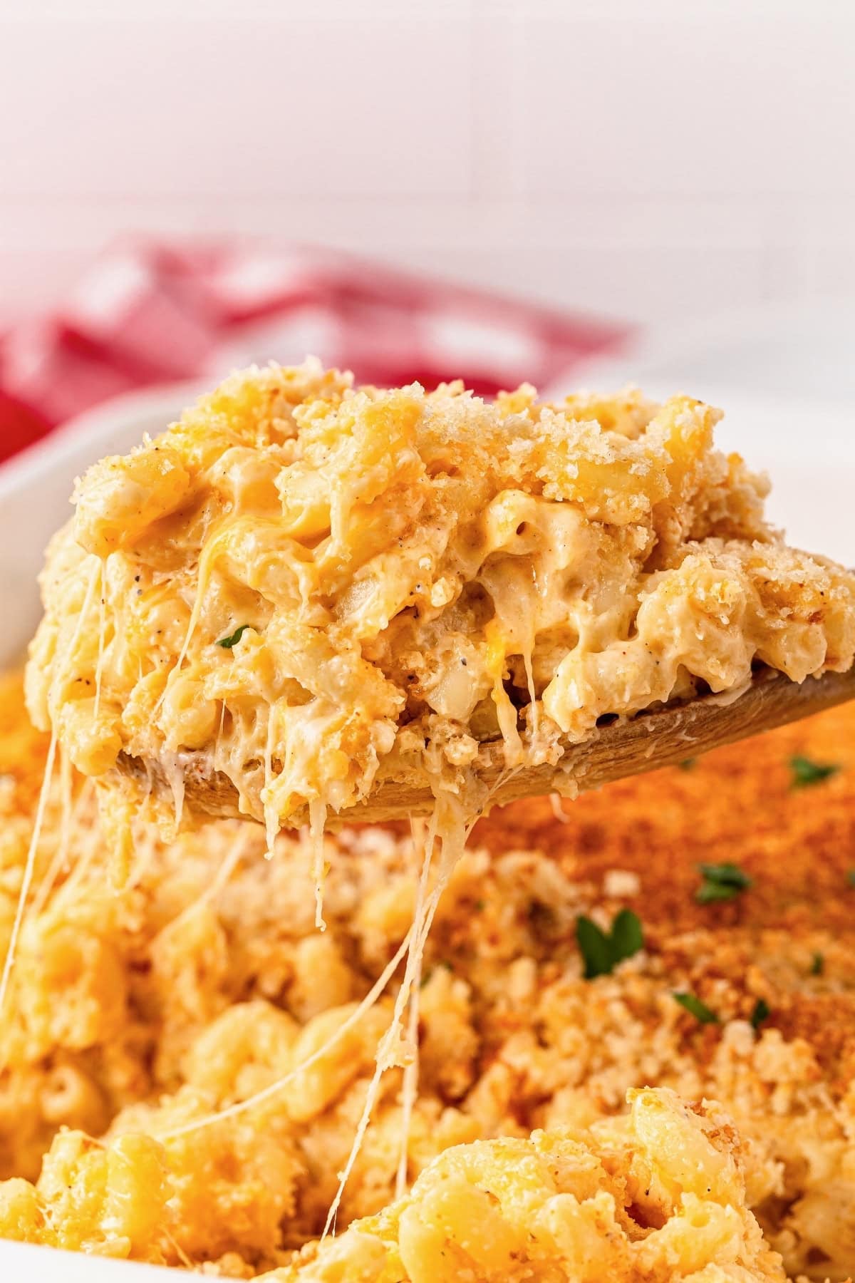 A spoon lifts cheesy baked macaroni and cheese with a crispy topping.