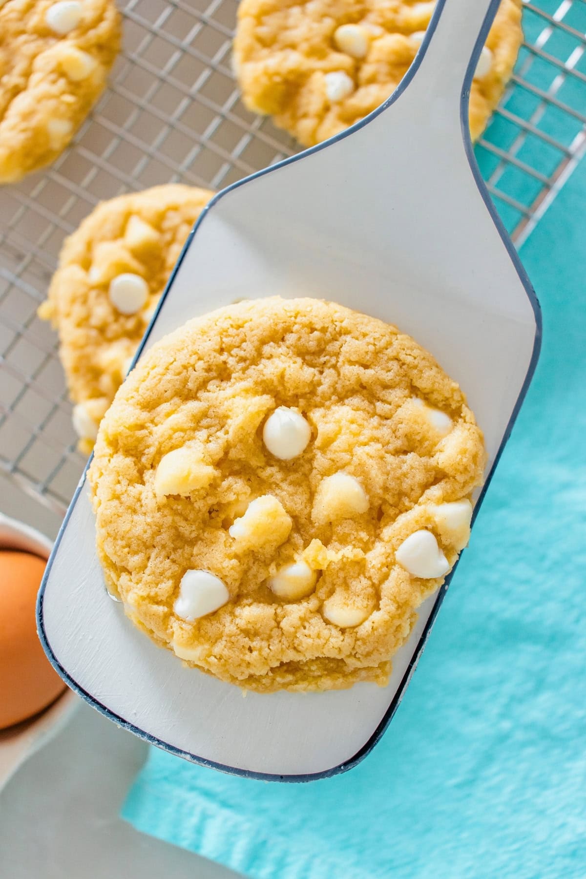 A white chocolate chip cookie on a spatula above a cooling rack.