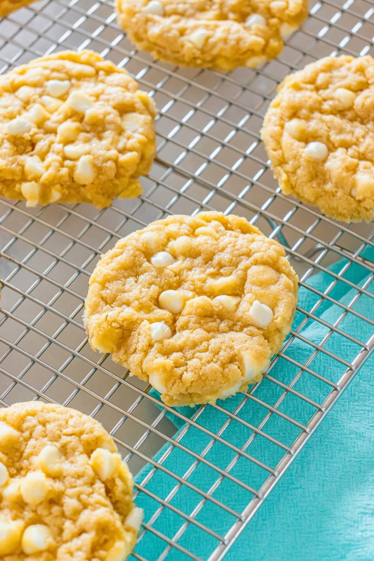White chocolate chip cookies cooling on a metal rack.