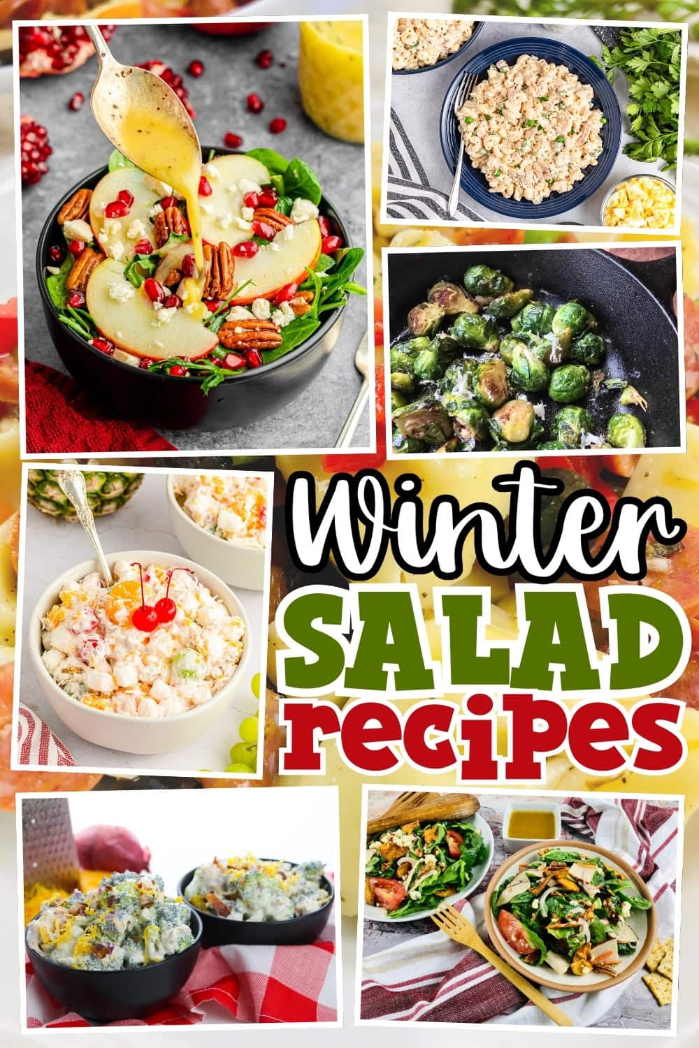 Various colorful winter salads.