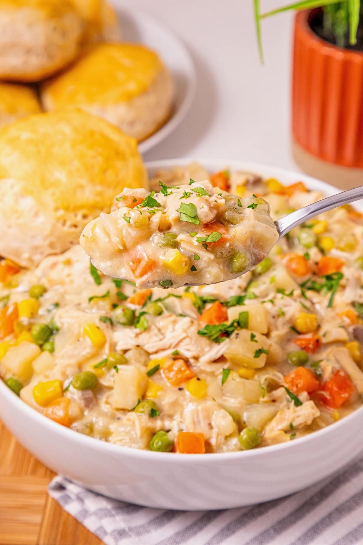 A spoonful of creamy chicken and vegetable above a bowl, with biscuits nearby.