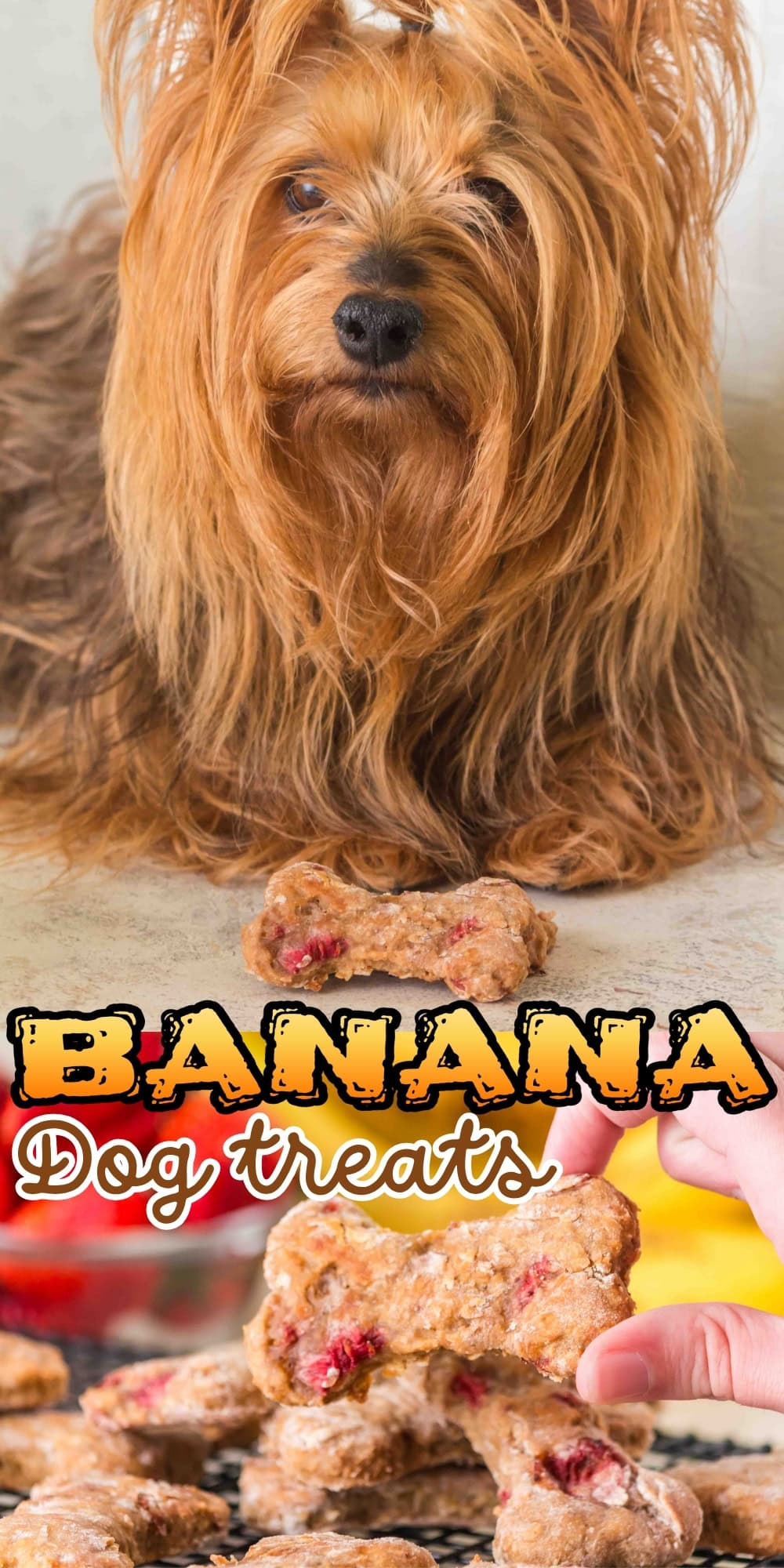 A small dog sits by homemade banana dog treats shaped like bones.