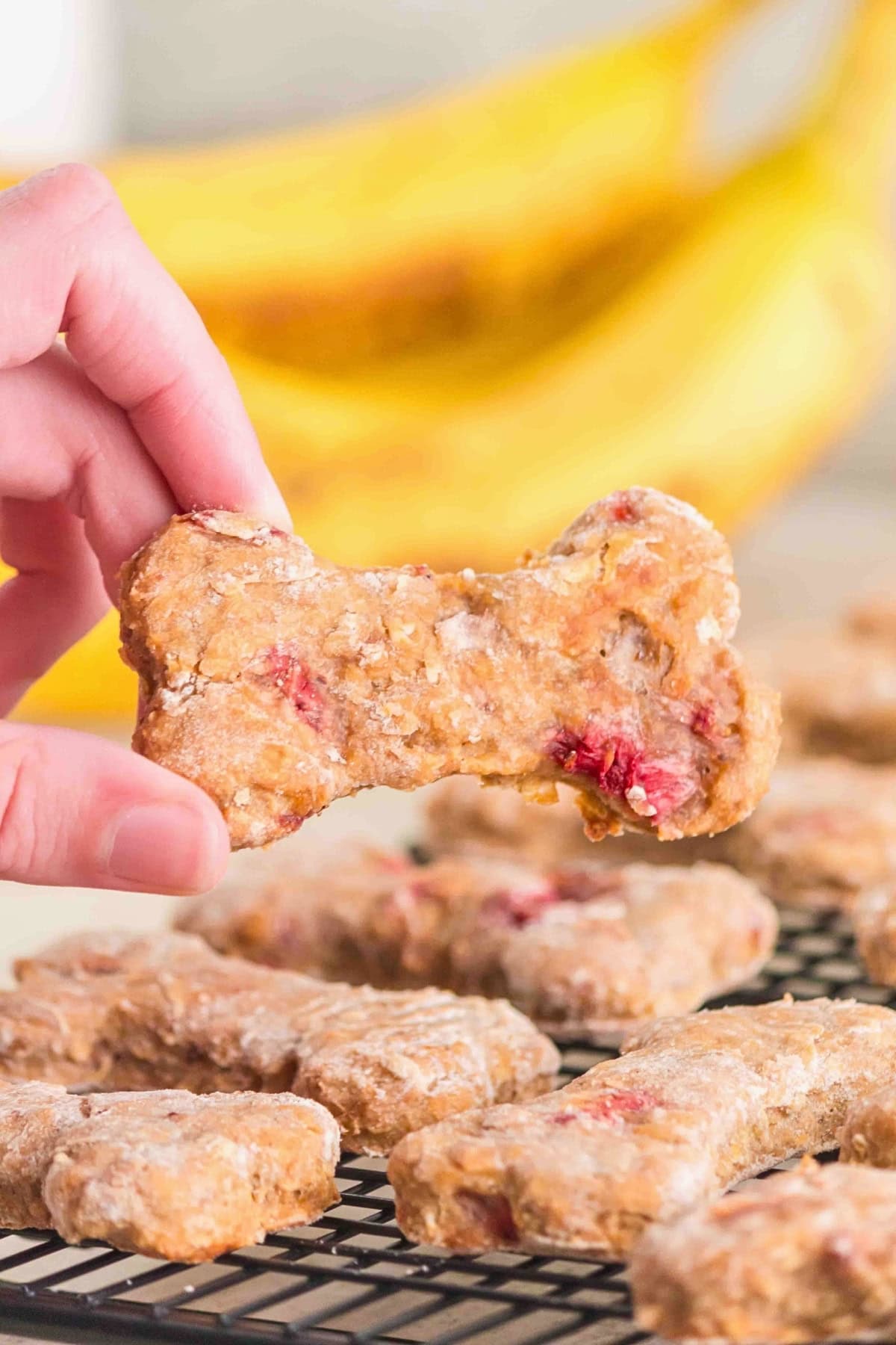 A hand holds a bone-shaped dog treat with bananas in the background.