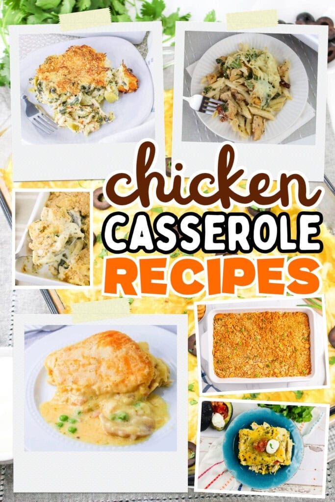 Various chicken casseroles.