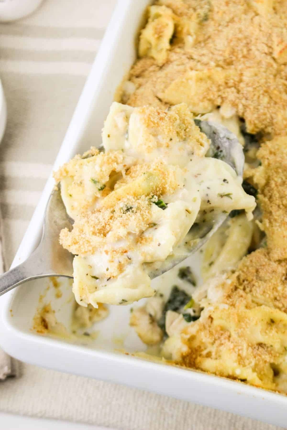 A spoonful of cheesy chicken casserole with breadcrumbs in a white baking dish.