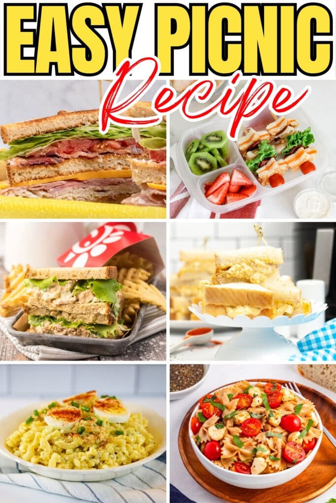 Picnic foods: sandwiches, fruit, pasta salad, and potato salad.