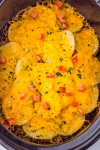 Sliced potatoes topped with melted cheddar cheese and diced tomatoes.