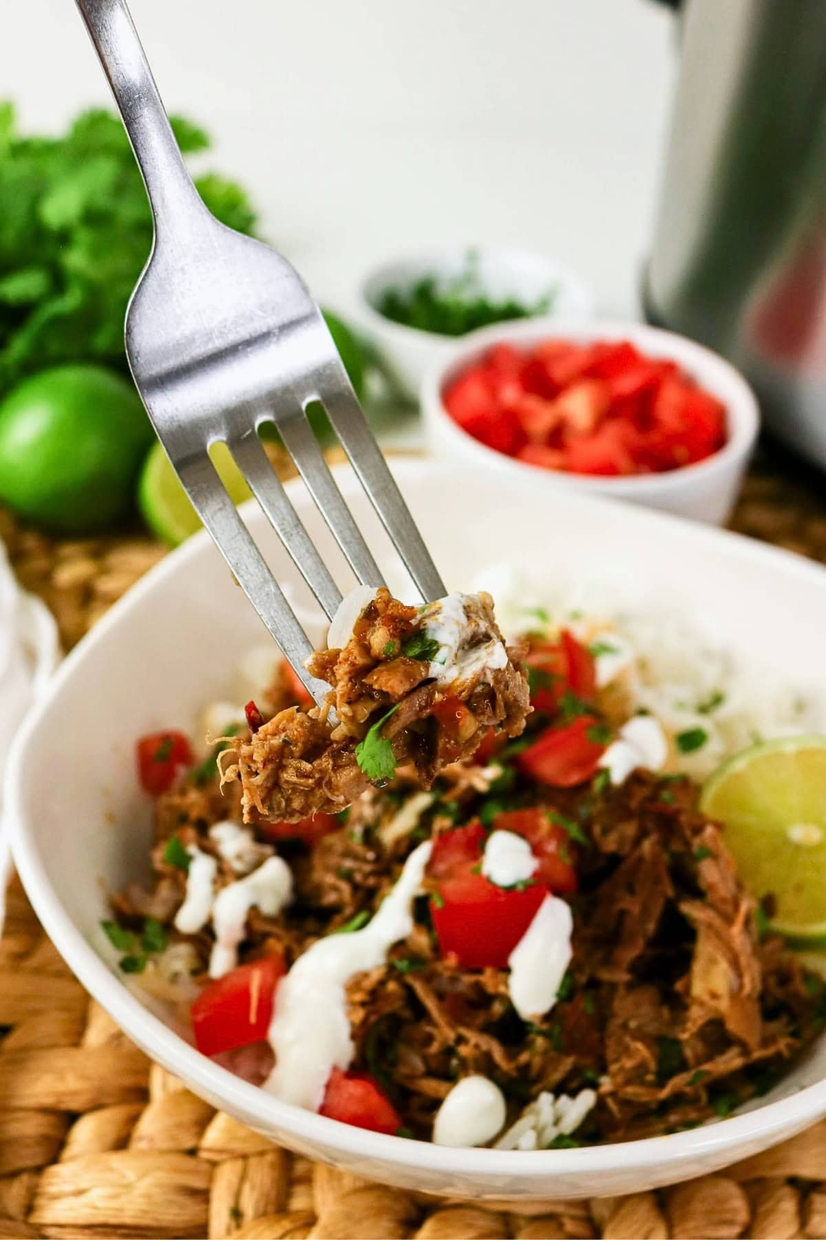 A fork holds a bite of shredded meat over a bowl of rice, tomatoes, and sauce.