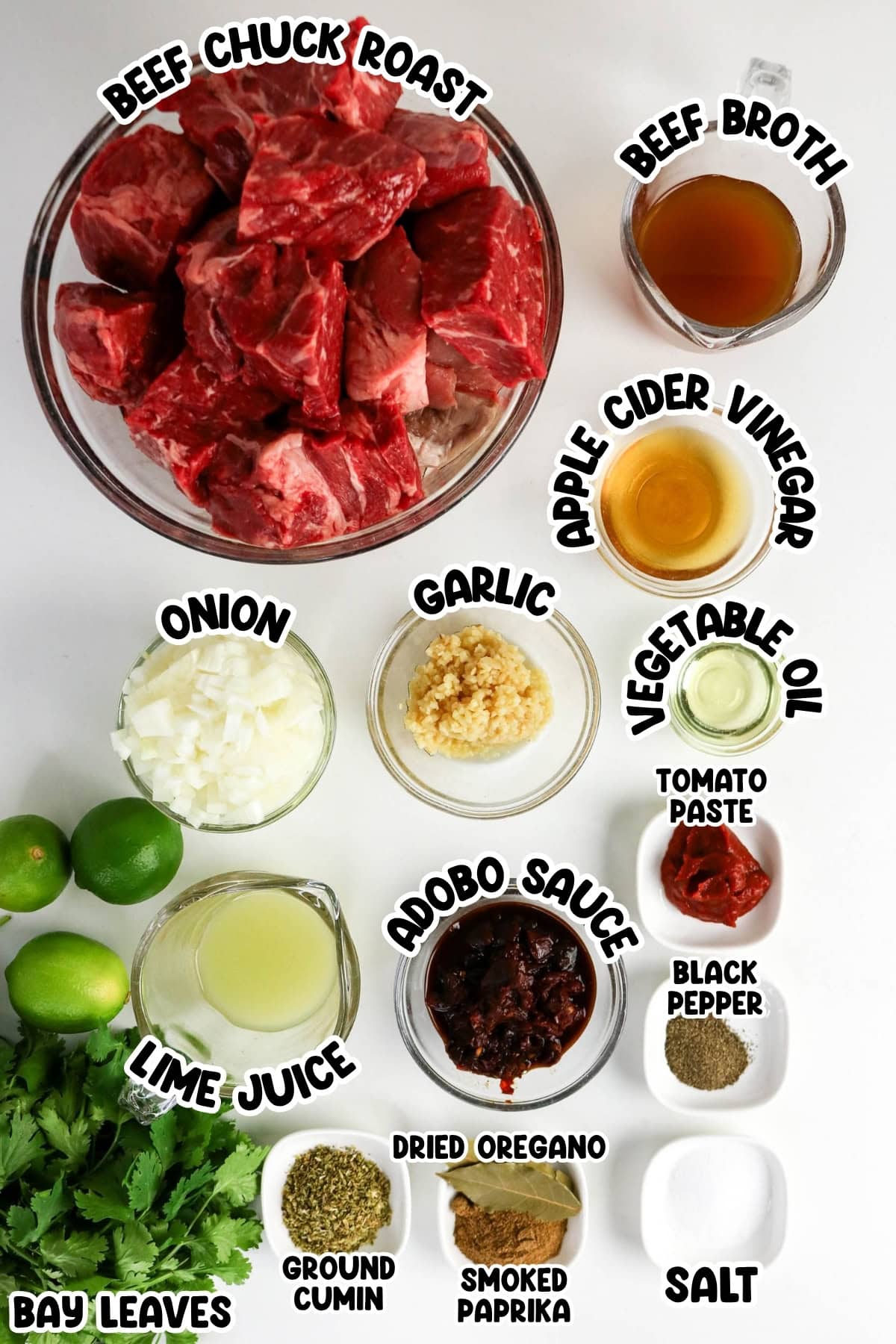 Assorted beef barbacoa ingredients in bowls, labeled on a white background.
