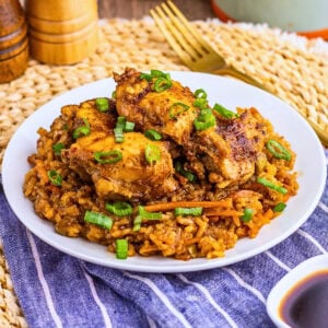 Seasoned chicken on spiced rice, garnished with chopped green onions on a plate.