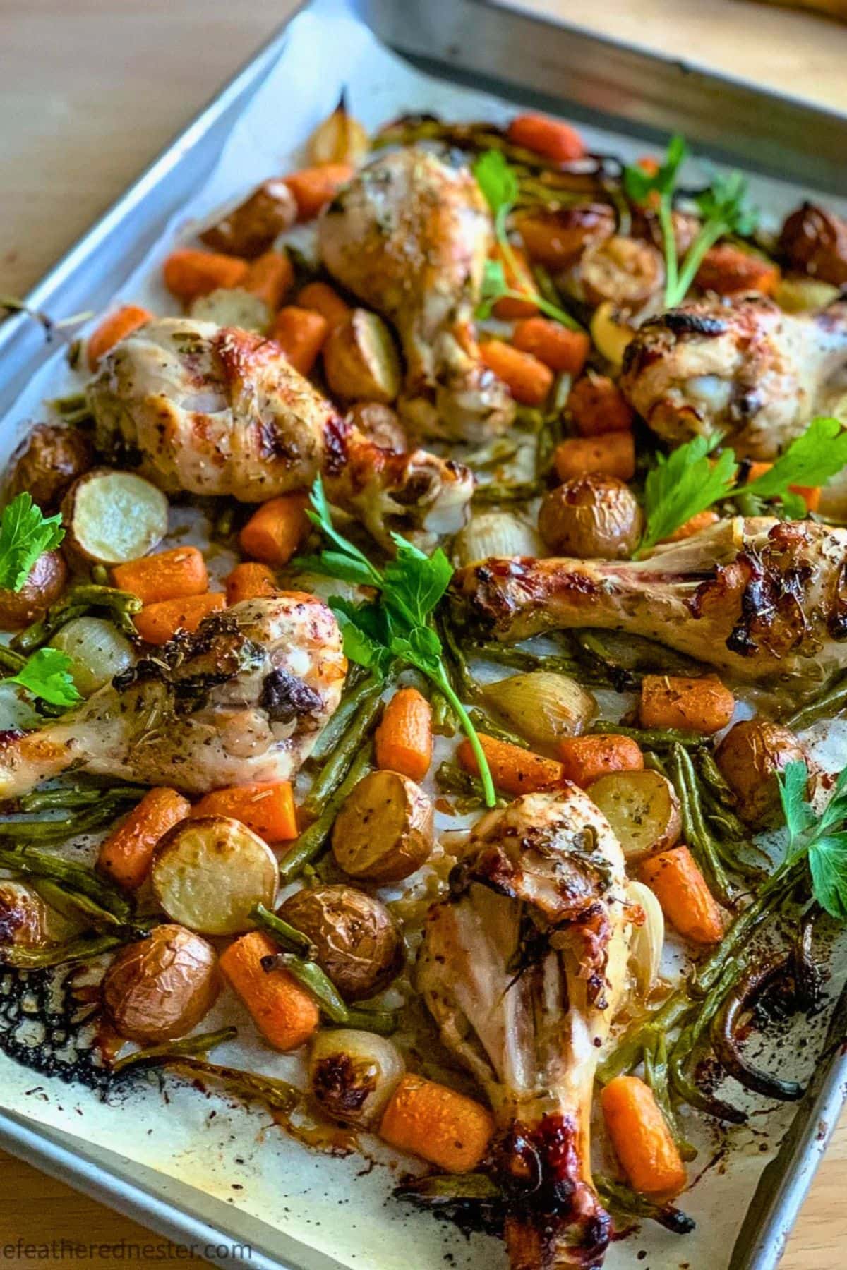 Roasted chicken drumsticks with veggies—perfect for sheet pan dinner recipes.