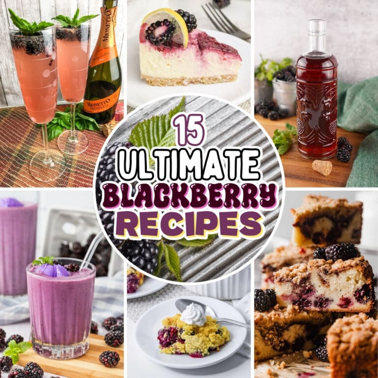Various blackberry desserts, drinks, and a bottle labeled recipes.