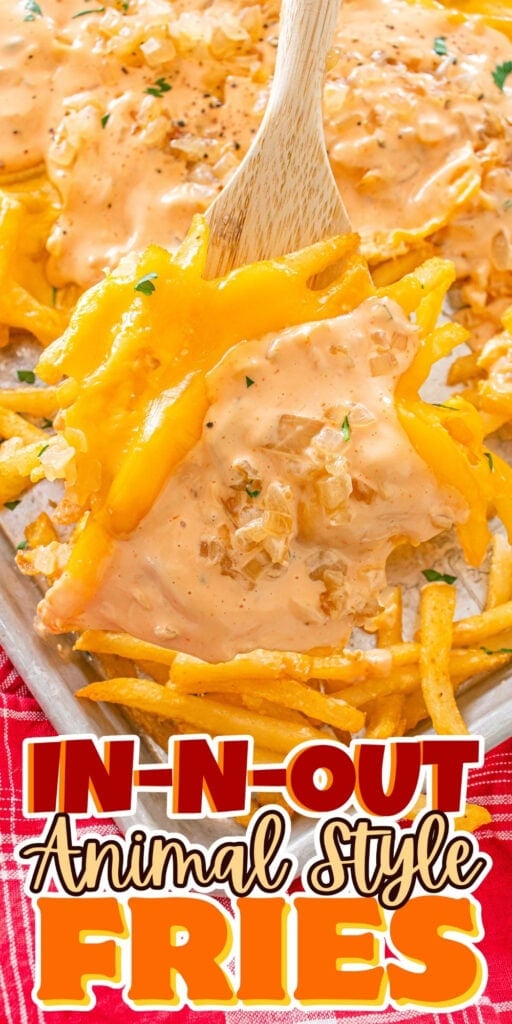 Animal Style Fries: crispy fries, cheese, grilled onions, special sauce.