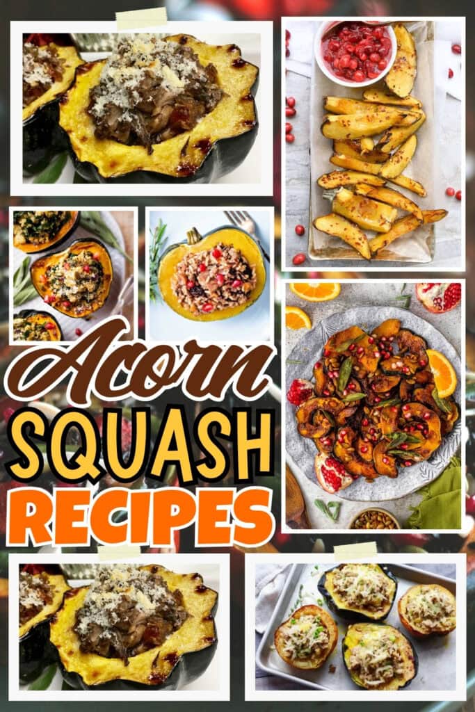 Various acorn squash recipes, including stuffed and roasted dishes.
