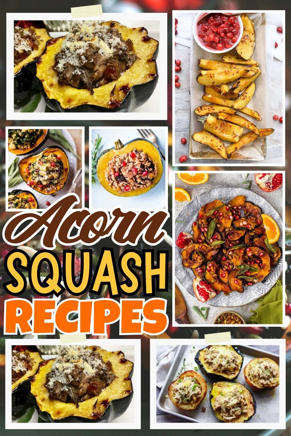 Various acorn squash recipes, including stuffed and roasted dishes.