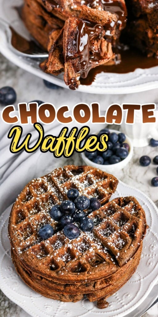 Chocolate waffles topped with blueberries and powdered sugar on a white plate.