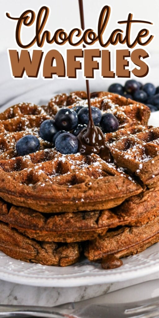 Chocolate waffles topped with blueberries, powdered sugar, and chocolate sauce.