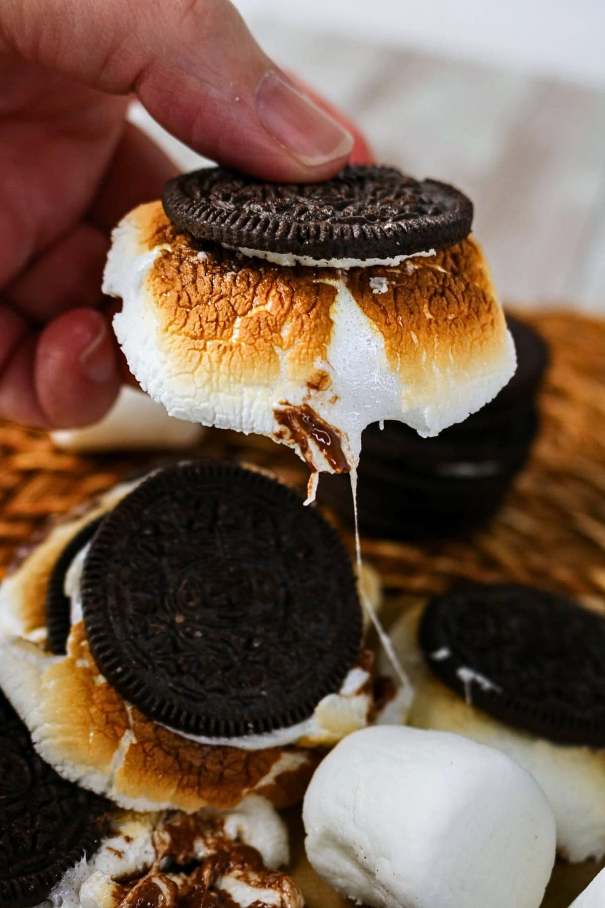 Hand holding a toasted marshmallow and chocolate cookie smore.