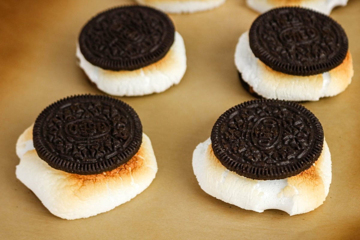 Chocolate sandwich cookies on toasted marshmallows on a baking tray.