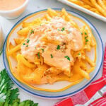 French fries topped with melted cheese and creamy sauce, garnished with parsley.