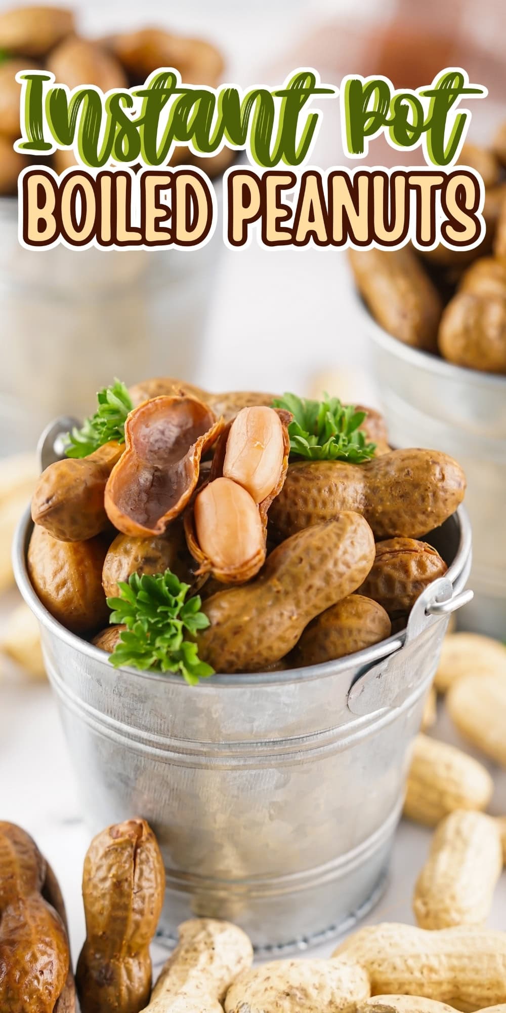 Boiled peanuts in a small metal bucket.