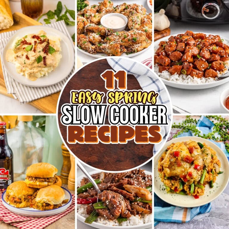 Slow Cooker Recipes.