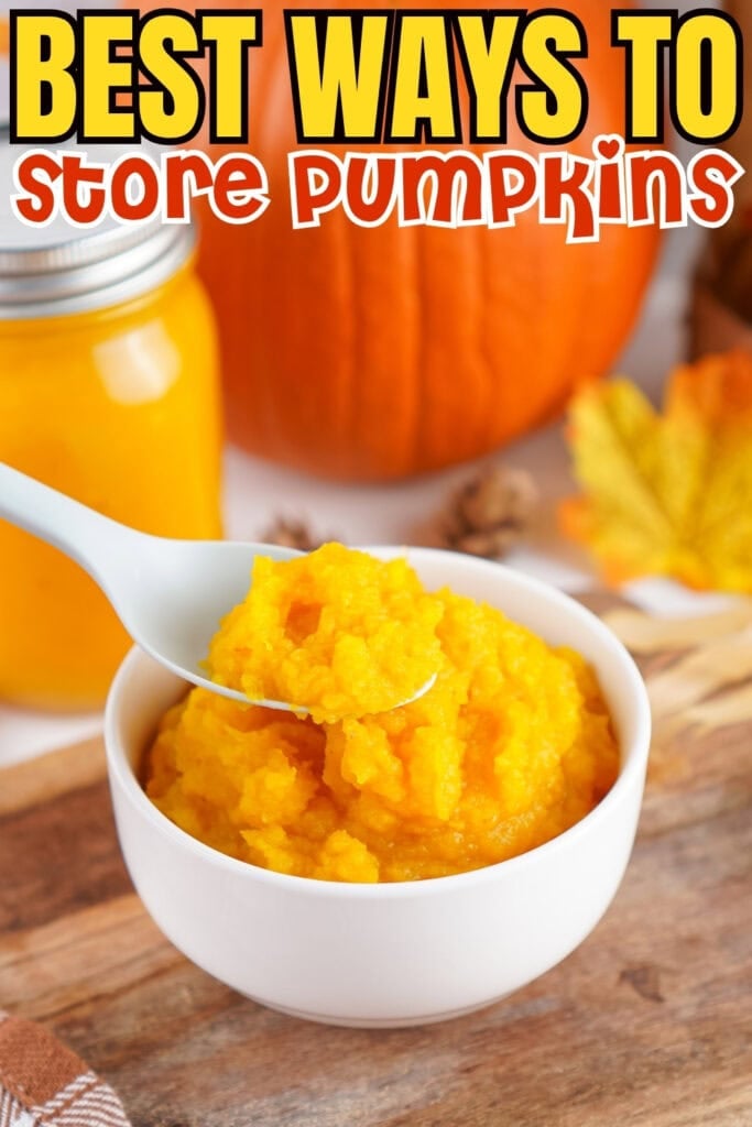 Spoon scooping mashed pumpkin from a white bowl with pumpkins in background.
