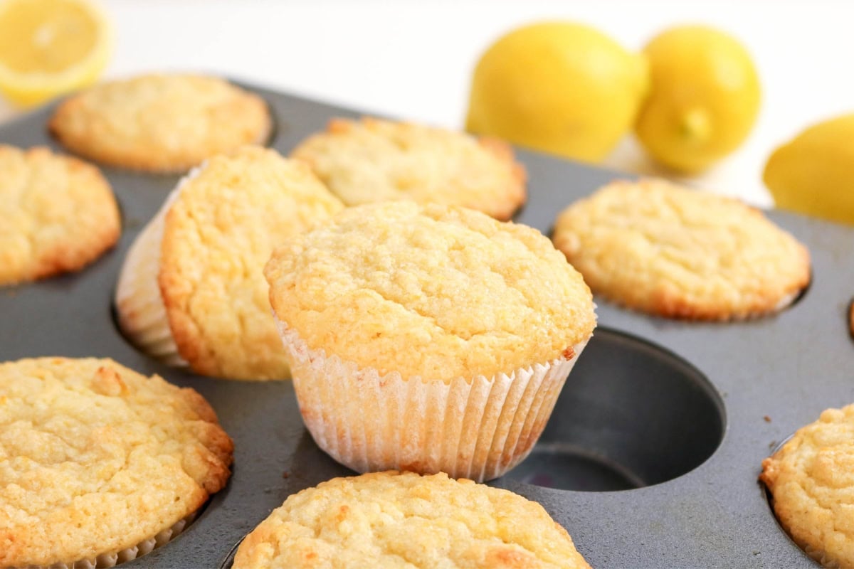 Lemon muffins in a baking tray with fresh lemons in the background.