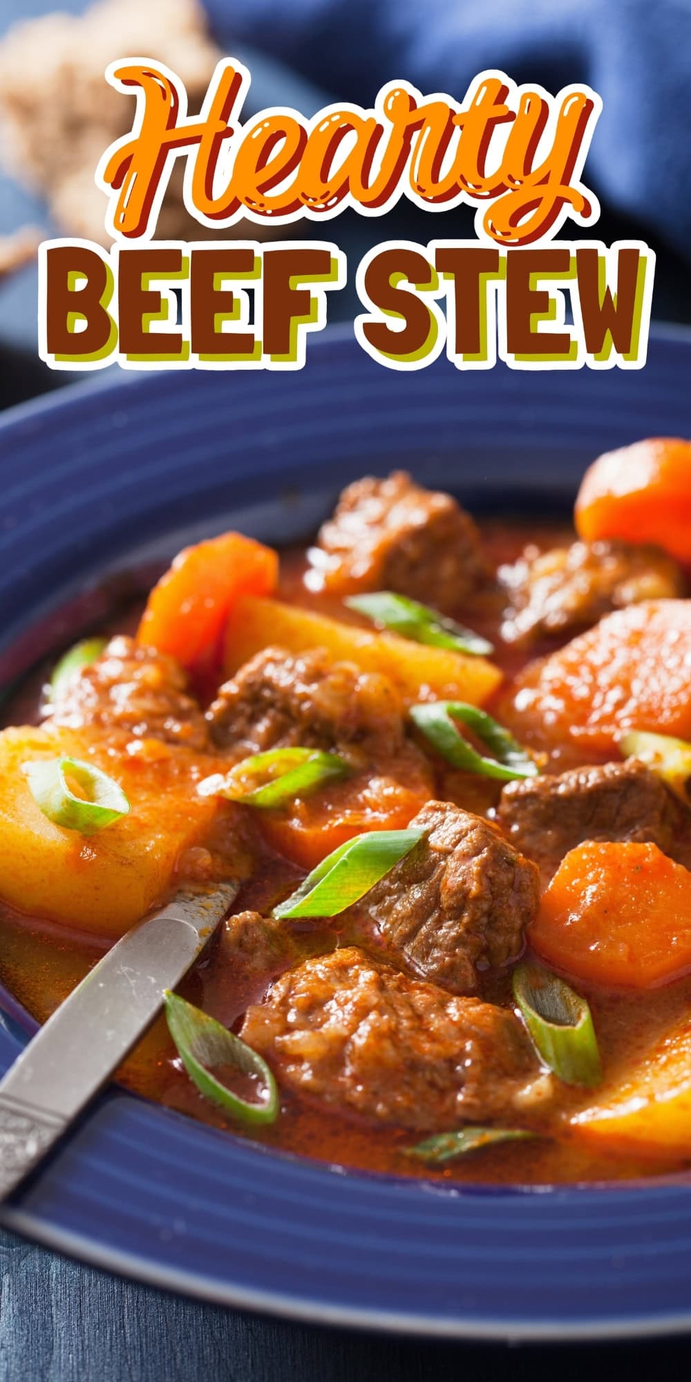 Bowl of beef stew with potatoes, carrots, and green onions on top.