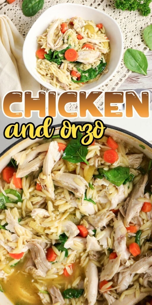 Bowl and pot of chicken orzo soup with carrots, spinach, and broth.
