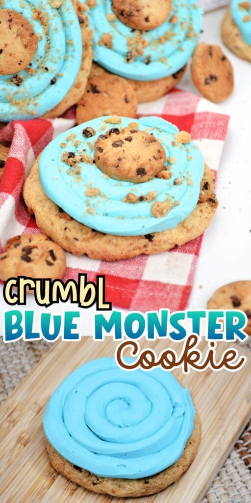 Cookies with blue frosting, mini cookies, and crumbs on a red checked cloth.