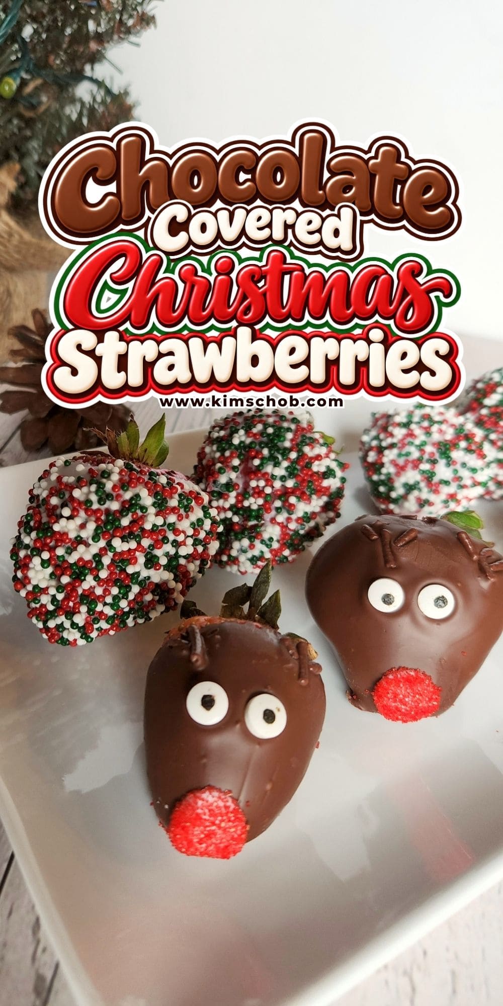 Chocolate-covered strawberries decorated as reindeer and with holiday sprinkles.