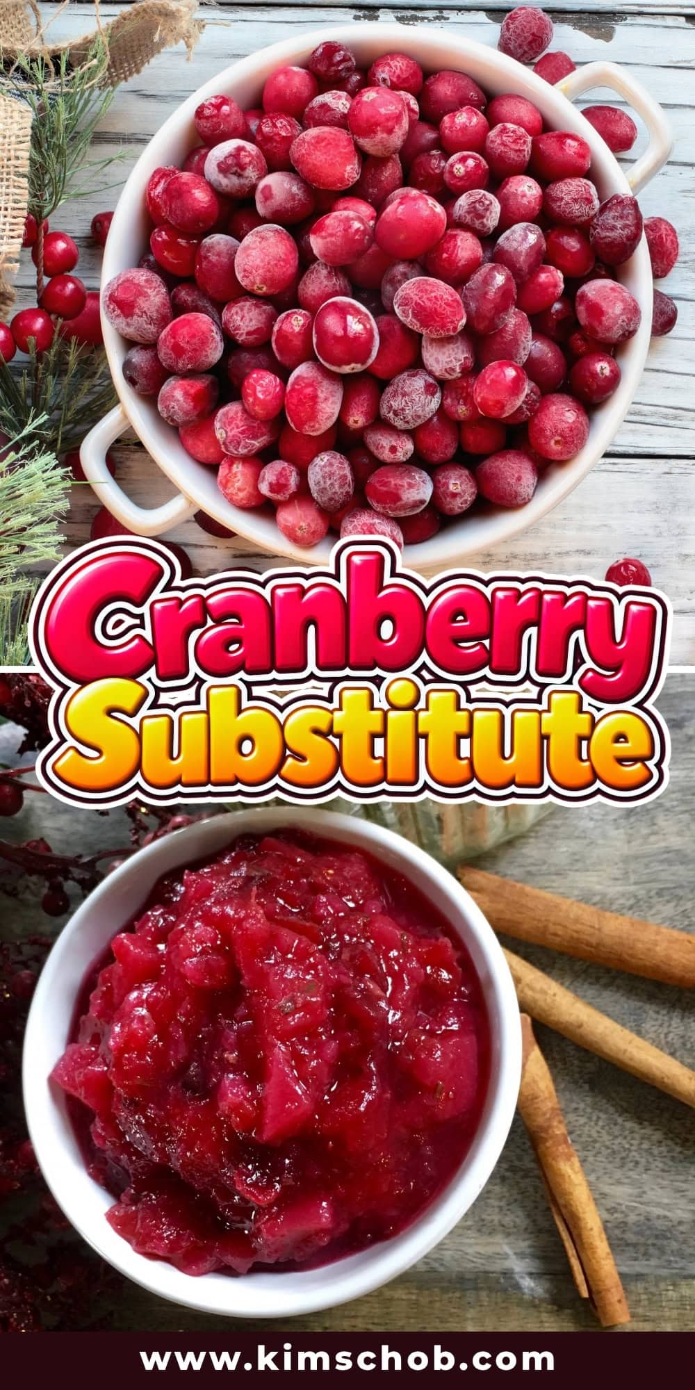 Bowl of cranberries, and cranberry sauce.