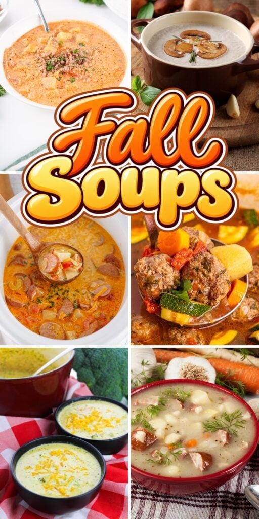 Various hearty fall soups.